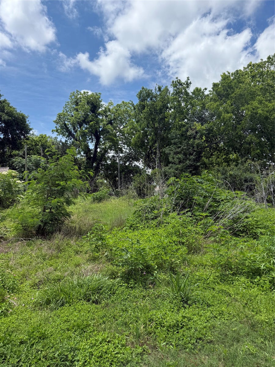 Property photo for 207 Prune Street, La Marque, TX