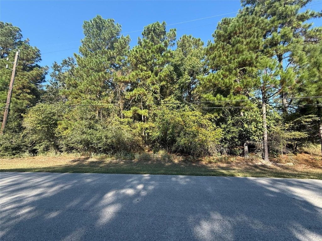 0 Lago Drive, Magnolia, TX 77354