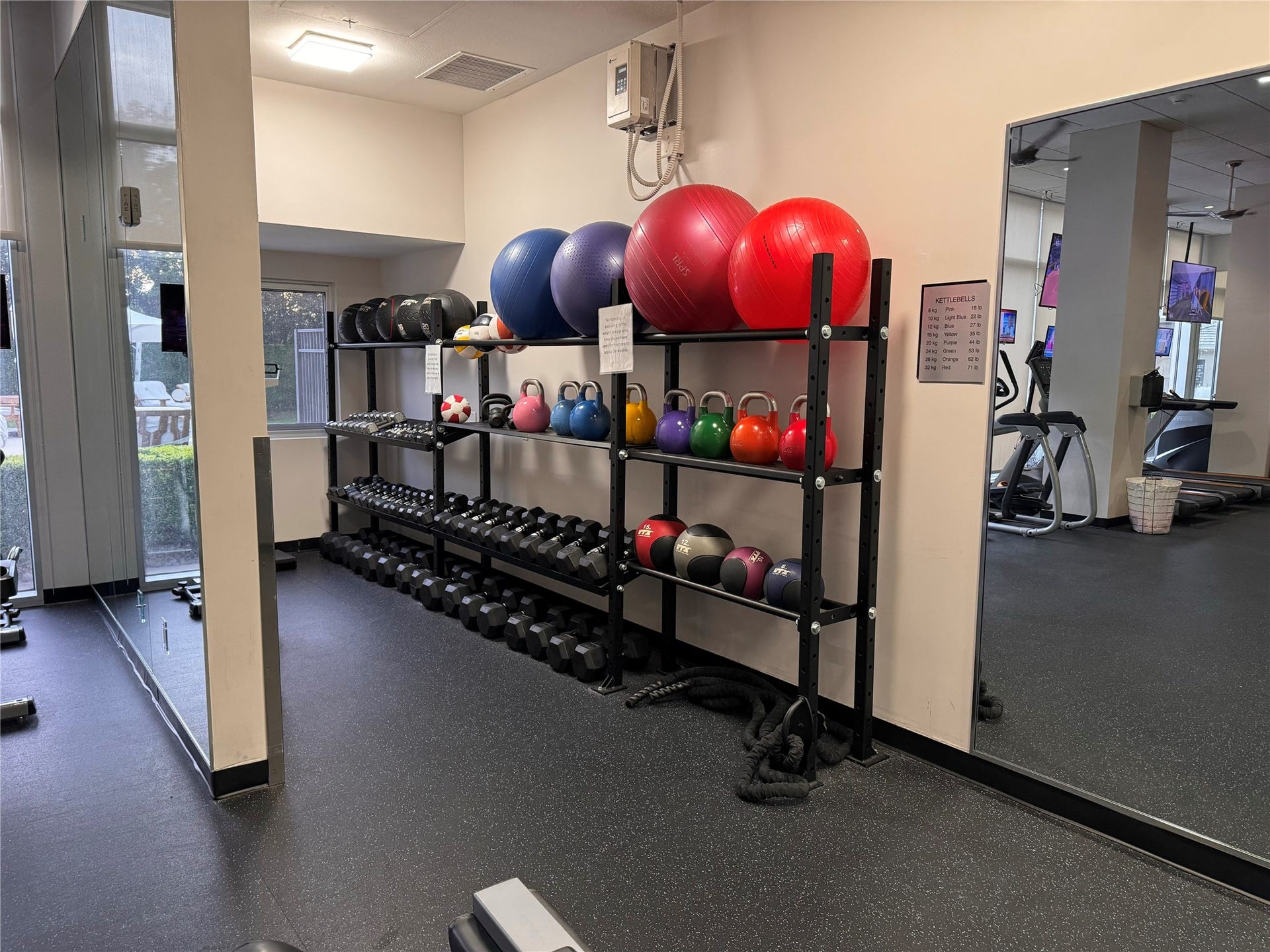 3333 Allen Parkway, #3003, Houston, TX 77019 Stability balls and some of the free weights.