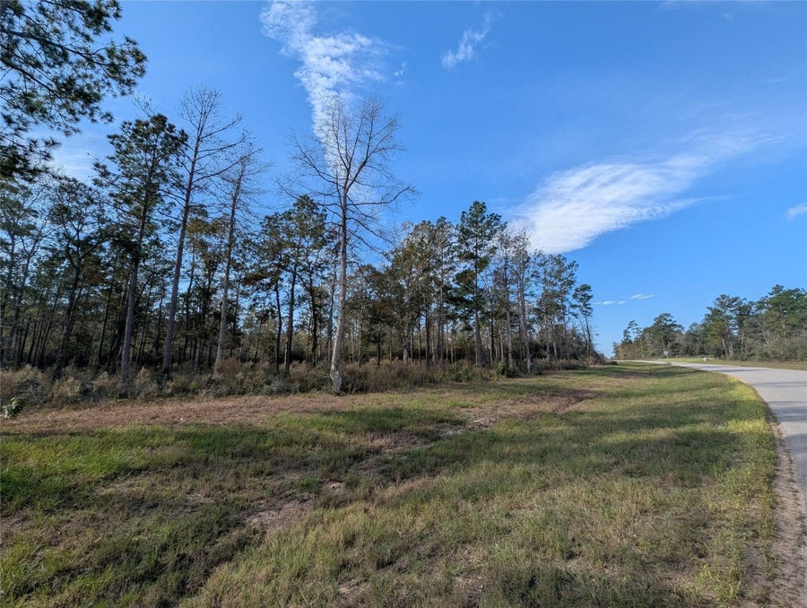 Property photo for 10698 Ruger Road, Willis, TX
