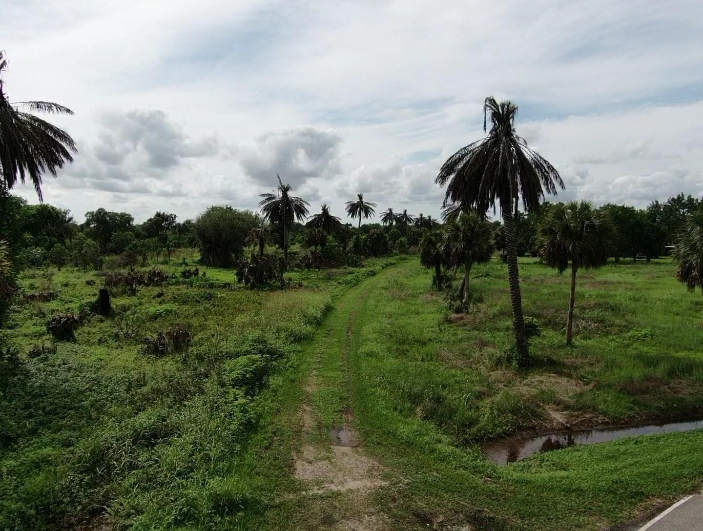 Lot 220 County Road 461 A, Brazoria, TX 77422 Lot 220 County Road 461 A, Brazoria, TX 77422