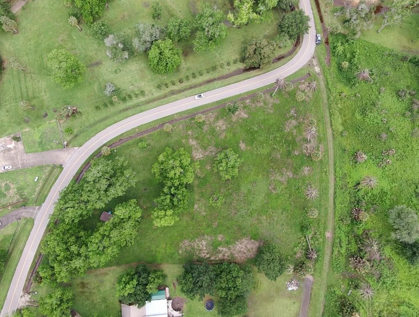 Lot 220 County Road 461 A, Brazoria, TX 77422 Lot 220 County Road 461 A, Brazoria, TX 77422