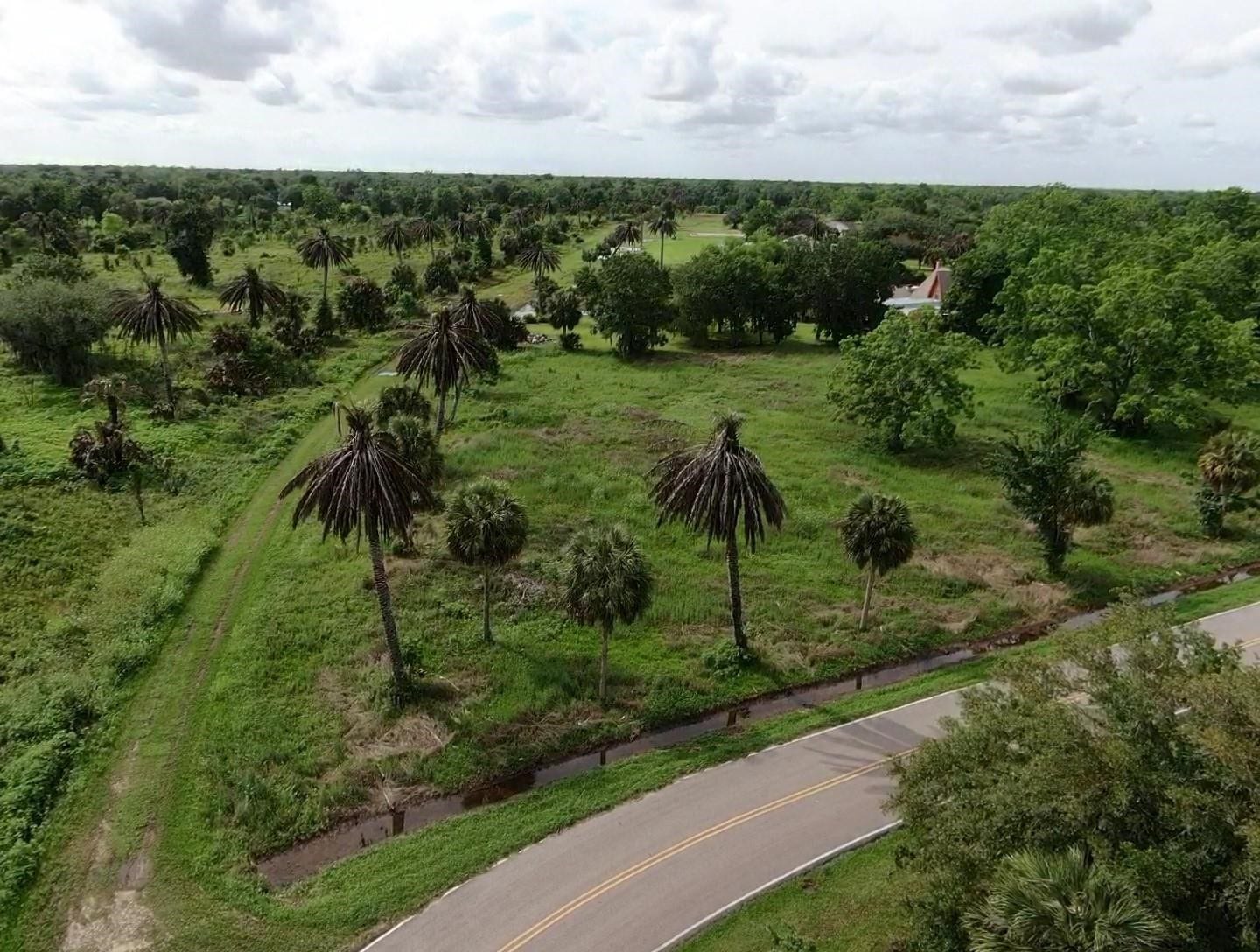 Lot 220 County Road 461 A, Brazoria, TX 77422 Lot 220 County Road 461 A, Brazoria, TX 77422