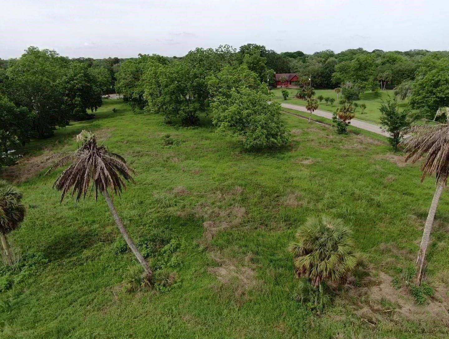 Lot 220 County Road 461 A, Brazoria, TX 77422 Lot 220 County Road 461 A, Brazoria, TX 77422