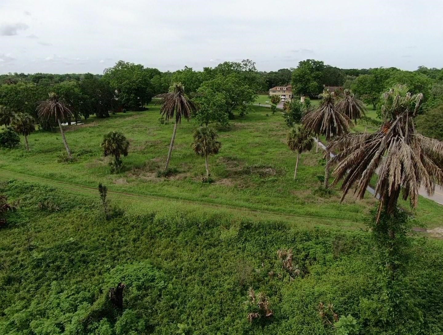 Lot 220 County Road 461 A, Brazoria, TX 77422 Lot 220 County Road 461 A, Brazoria, TX 77422