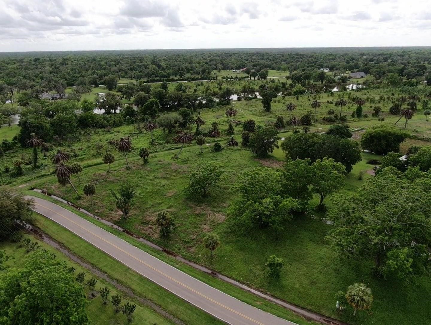 Lot 220 County Road 461 A, Brazoria, TX 77422 Lot 220 County Road 461 A, Brazoria, TX 77422