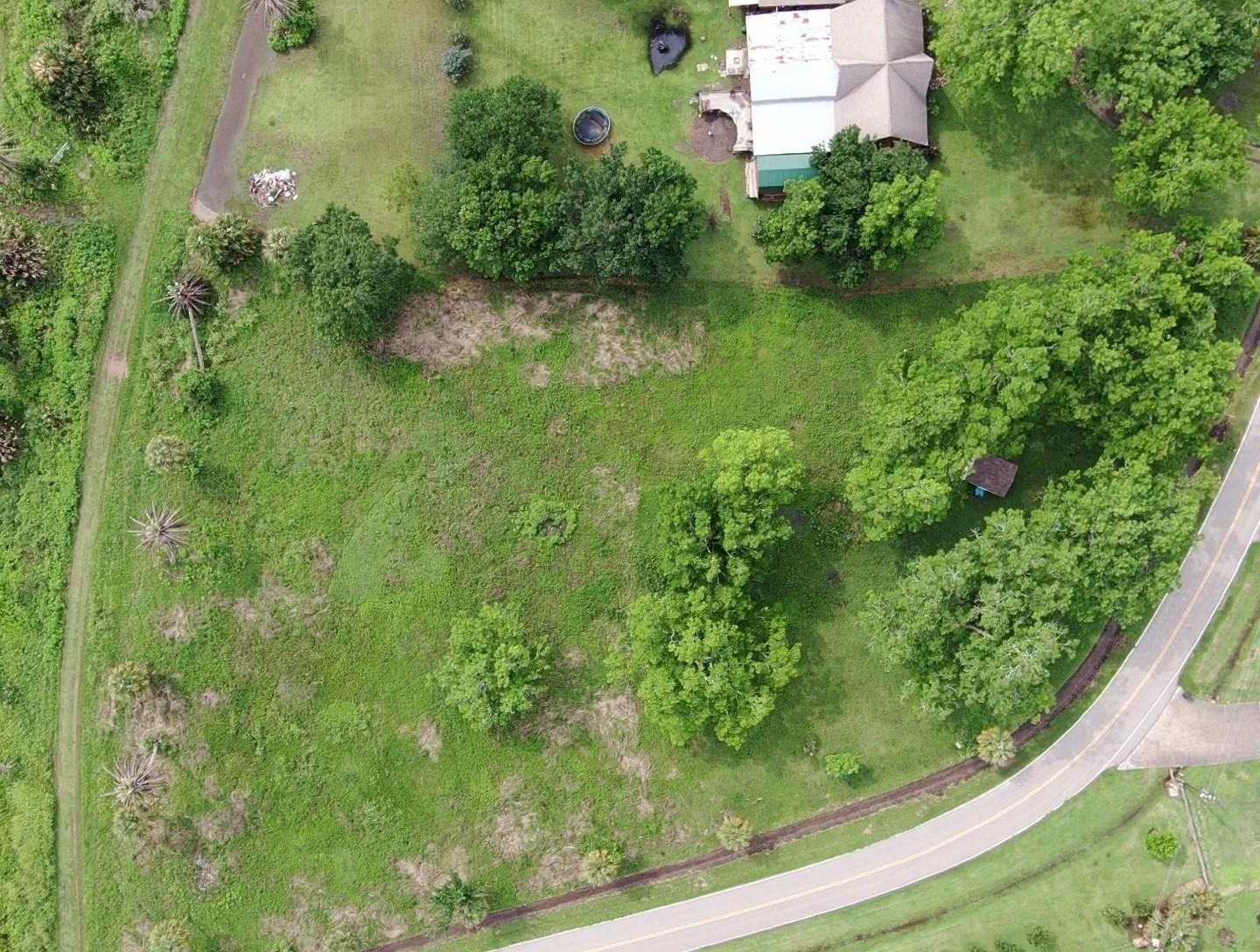 Lot 220 County Road 461 A, Brazoria, TX 77422 Lot 220 County Road 461 A, Brazoria, TX 77422