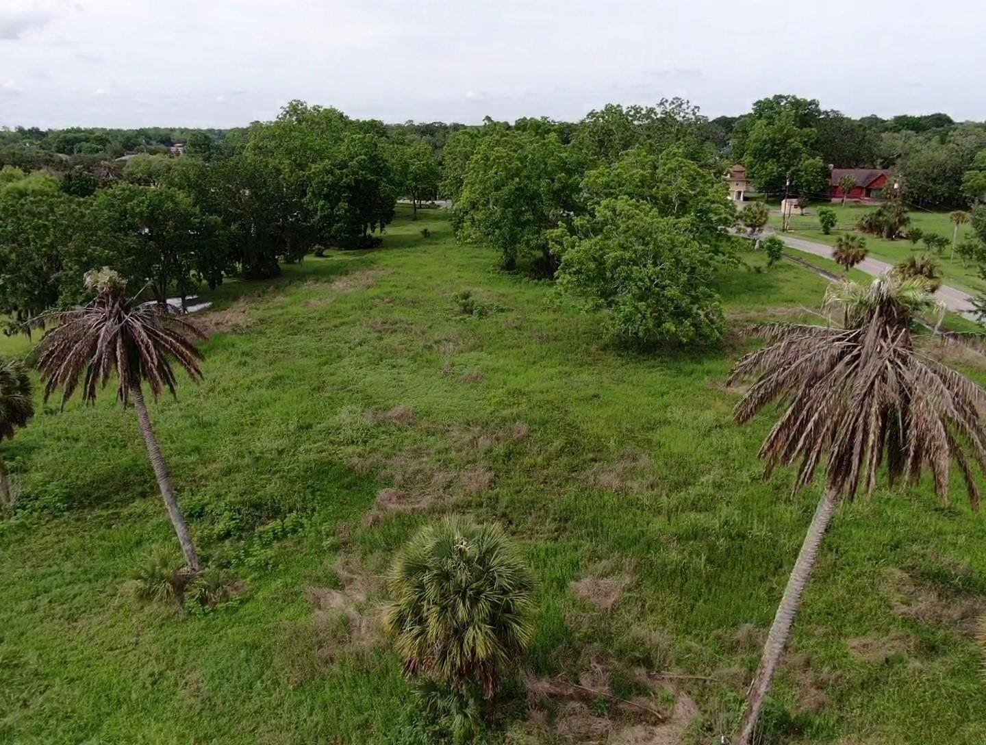 Lot 220 County Road 461 A, Brazoria, TX 77422 Lot 220 County Road 461 A, Brazoria, TX 77422