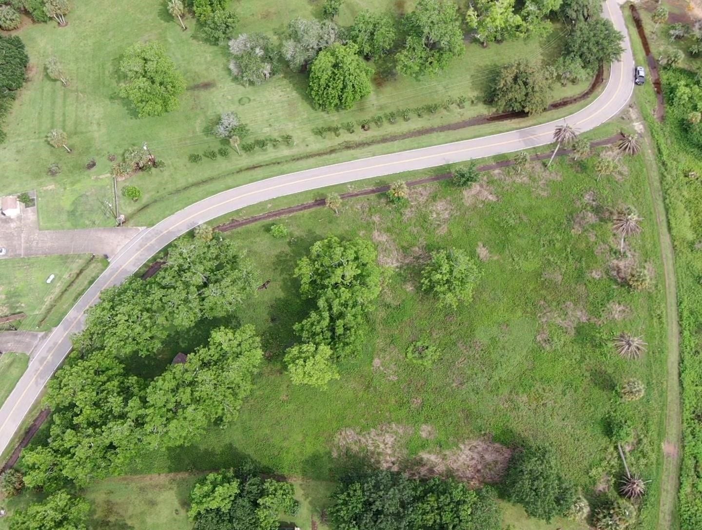 Lot 220 County Road 461 A, Brazoria, TX 77422 Lot 220 County Road 461 A, Brazoria, TX 77422