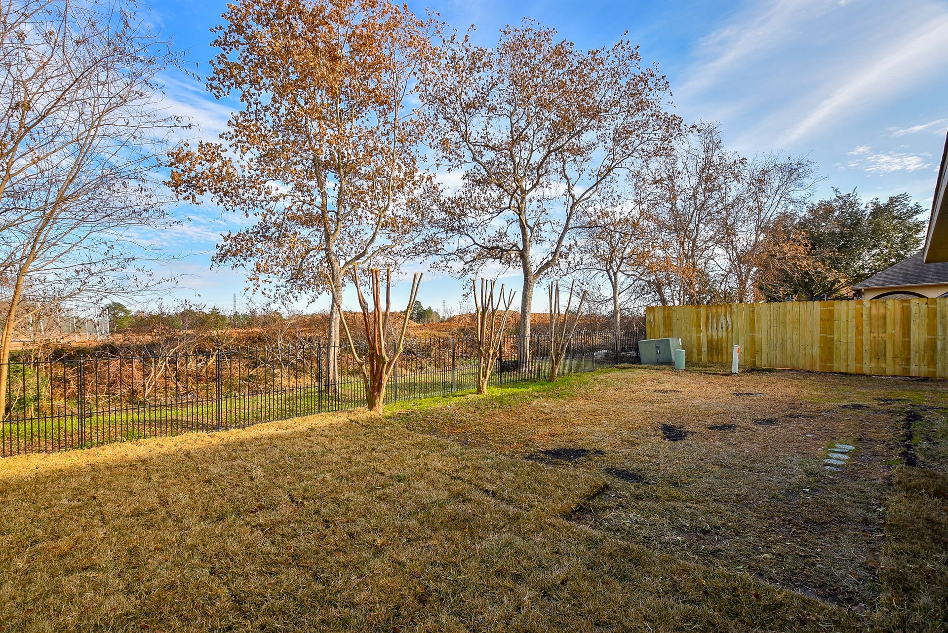 6730 Albion Cresent Drive, Katy, TX 77449 Private backyard