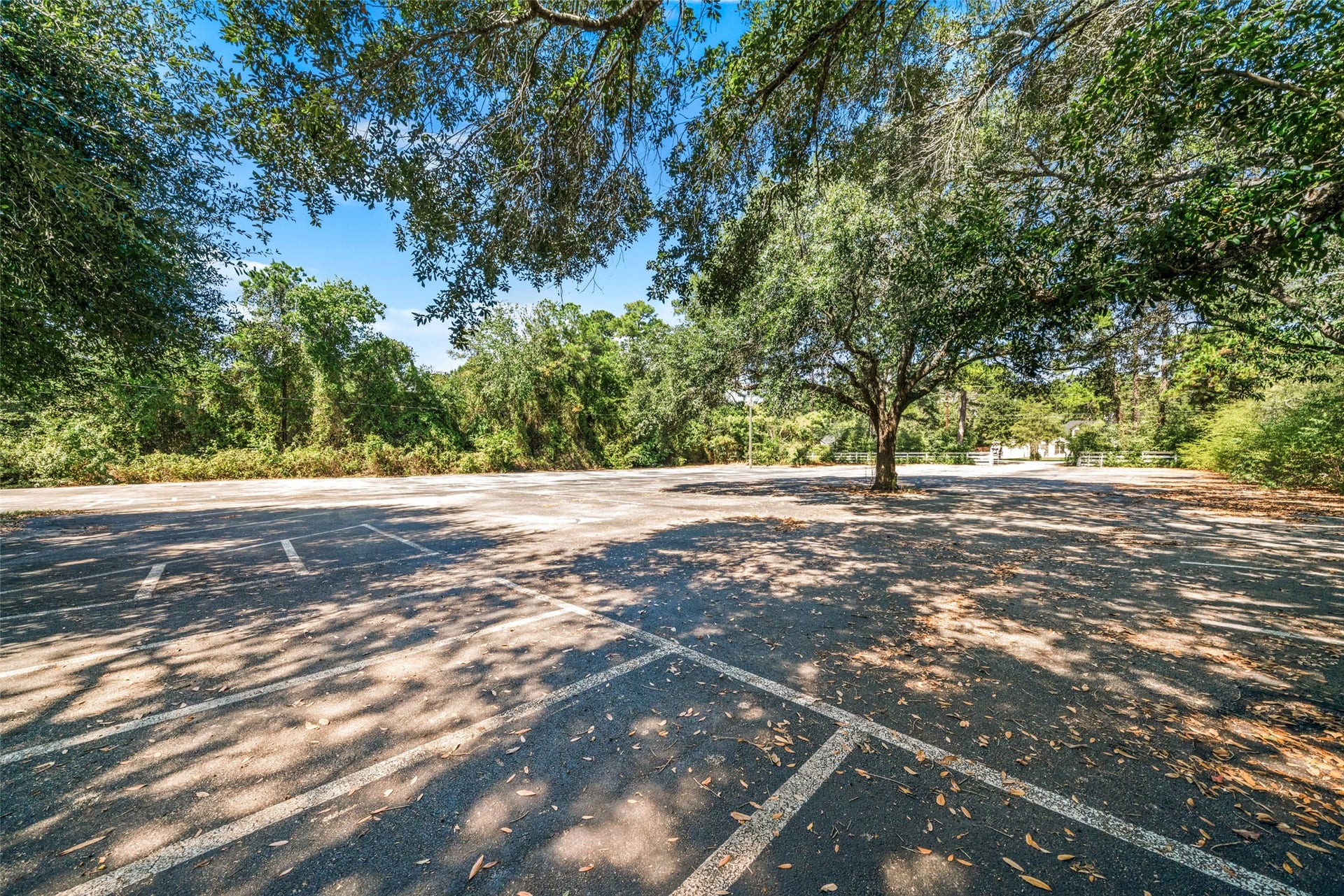 Expansive parking area with ample space for multiple vehicles, surrounded by mature trees and convenient to the venue.