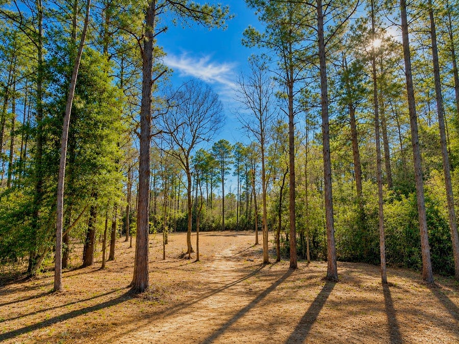 Property photo for 17819 Indigo Hills Drive, Magnolia, TX