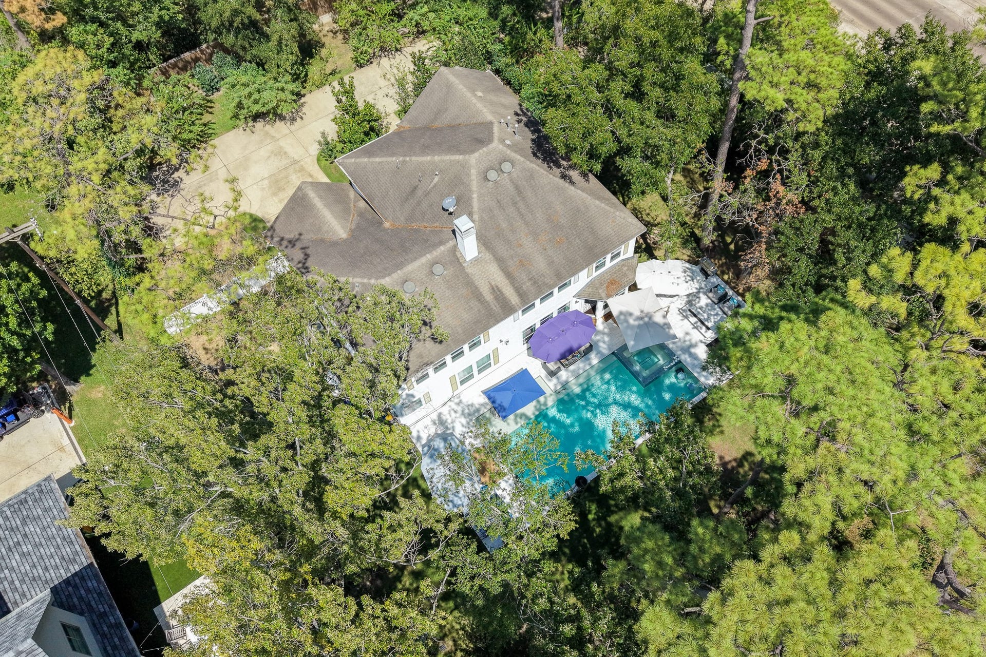 Bird's-eye view showcasing the home's resort-style pool and exceptional grounds.