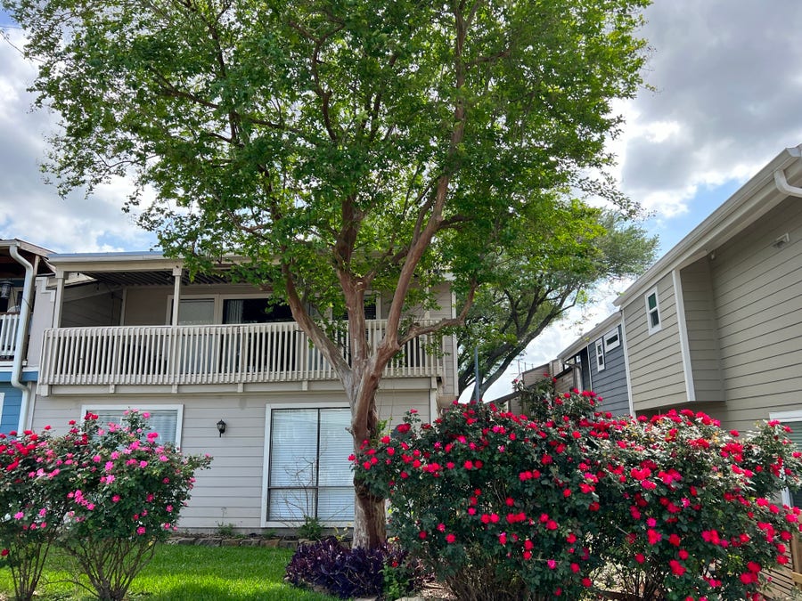 Property photo for 129 April Point Drive N, Conroe, TX