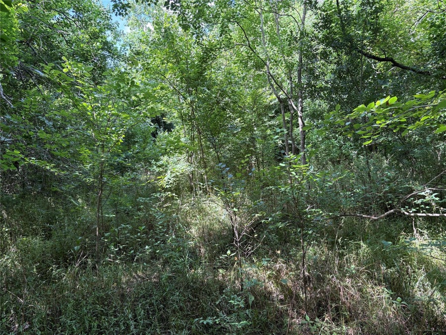 Property photo for 0 Donna Street, Houston, TX