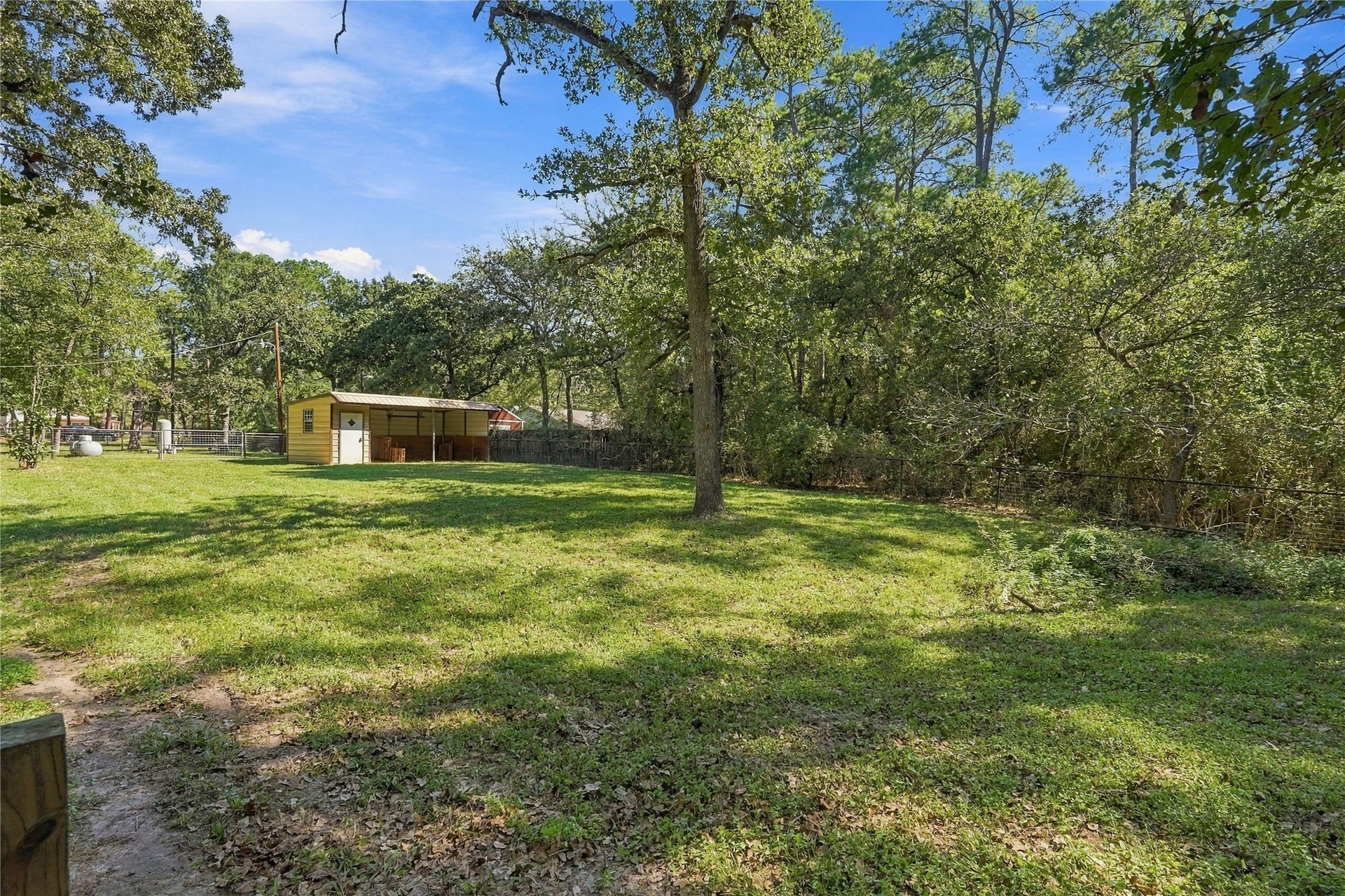 24904 Robin Hood Lane, Hockley, TX 77447 Expansive backyard with mature shade trees, open grassy areas, and a horse stall/storage structure.