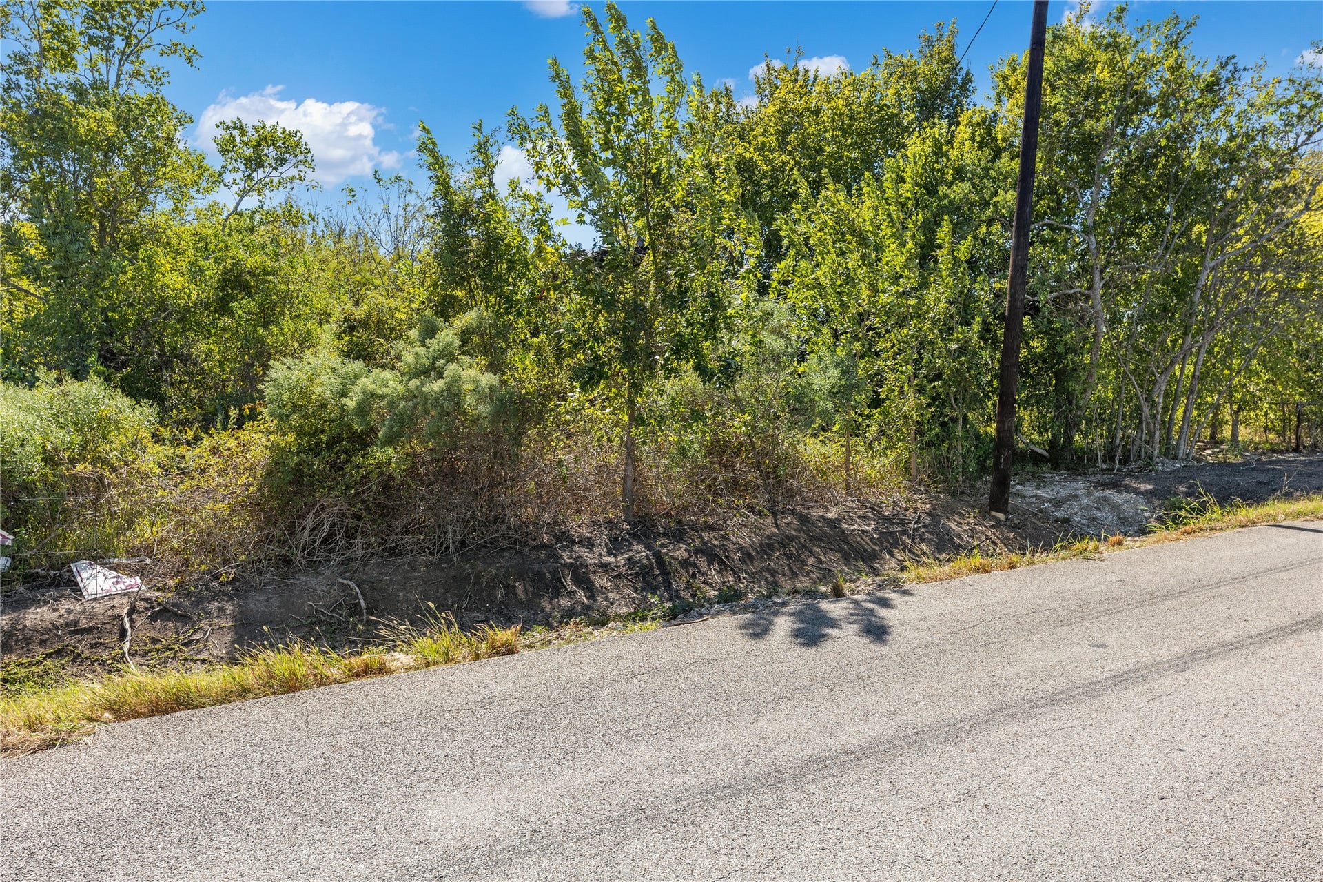 2379 Ave Avenue N, San Leon, TX 77539 Lot is overgrown, with old electrical service and old wooden structure on property.