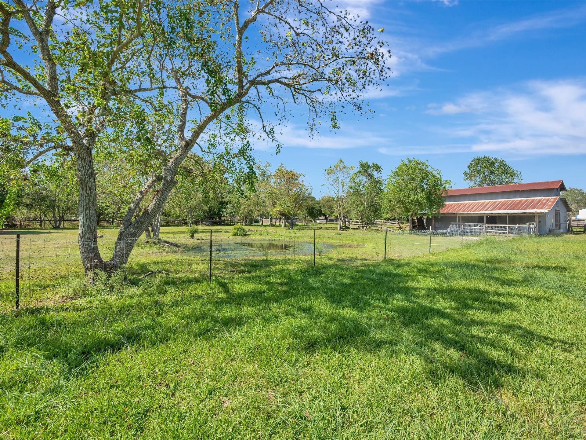 7230 Avenue L, Santa Fe, TX 77510 Beautiful fenced pastures, perfect for your animals.