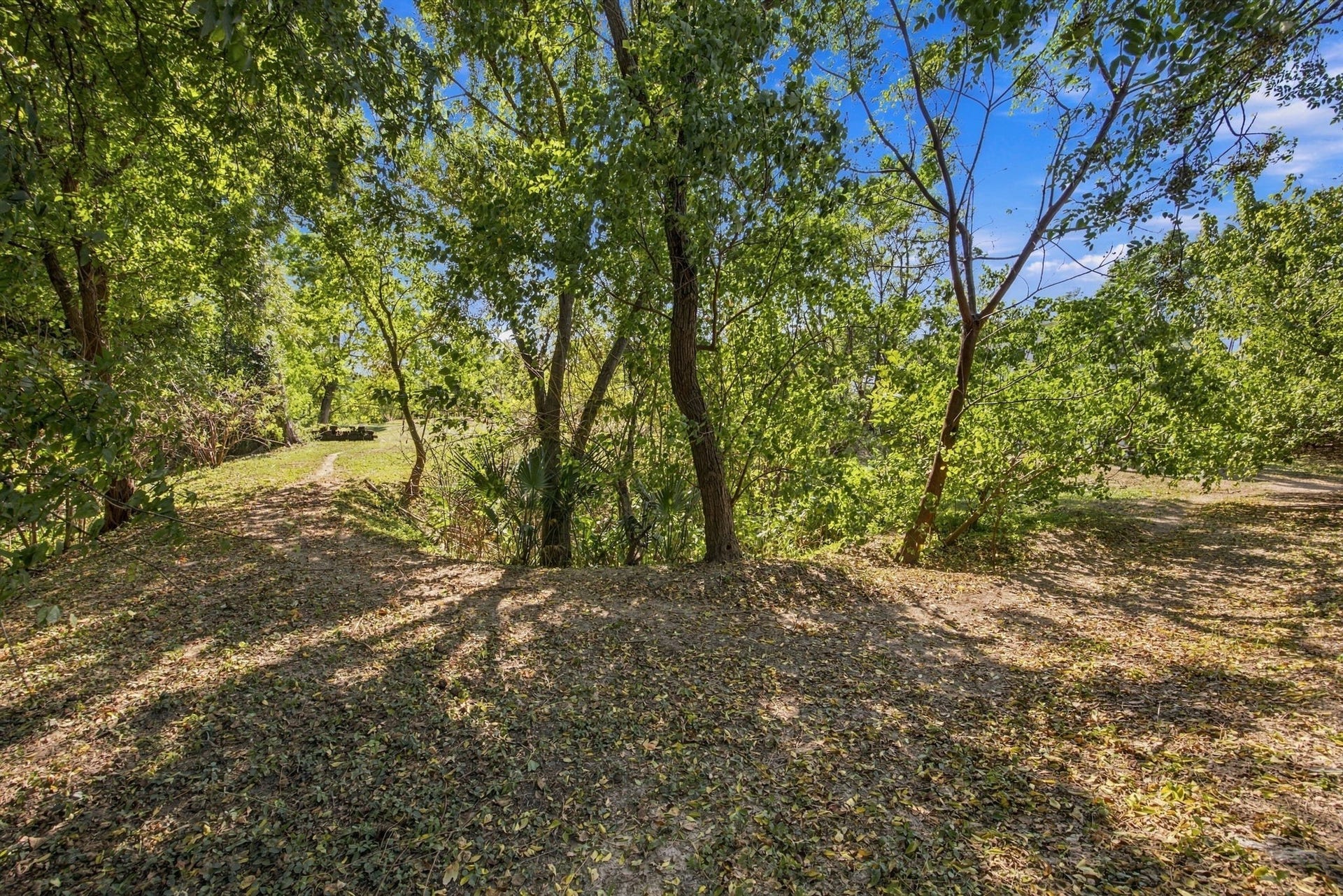 1808 Tabor Street, Houston, TX 77009 1808 Tabor Street, Houston, TX 77009