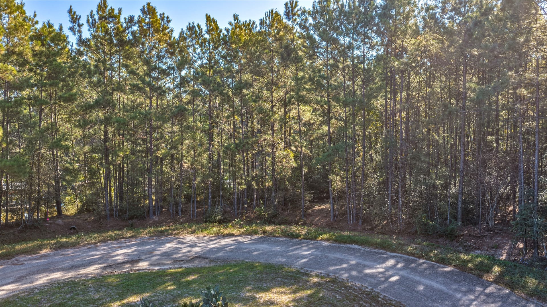 19426 Ucayali Court, Porter, TX 77365 19426 Ucayali Court, Porter, TX 77365