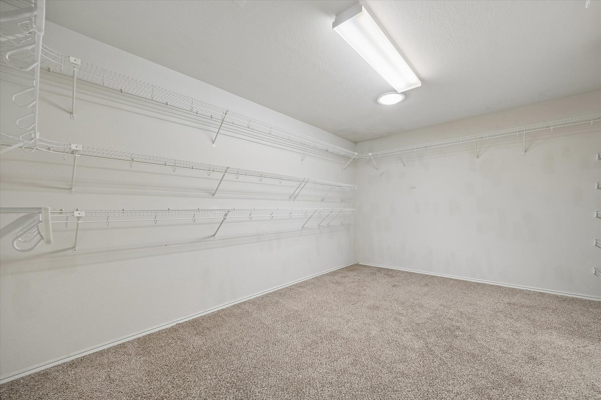 Spacious walk-in closet in the primary bathroom featuring ample shelving and hanging space, ideal for organized storage.