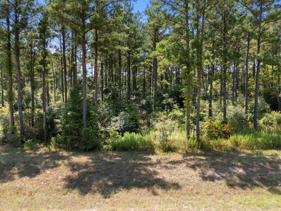 Property photo for 15735 Wooded Trail Way, Willis, TX