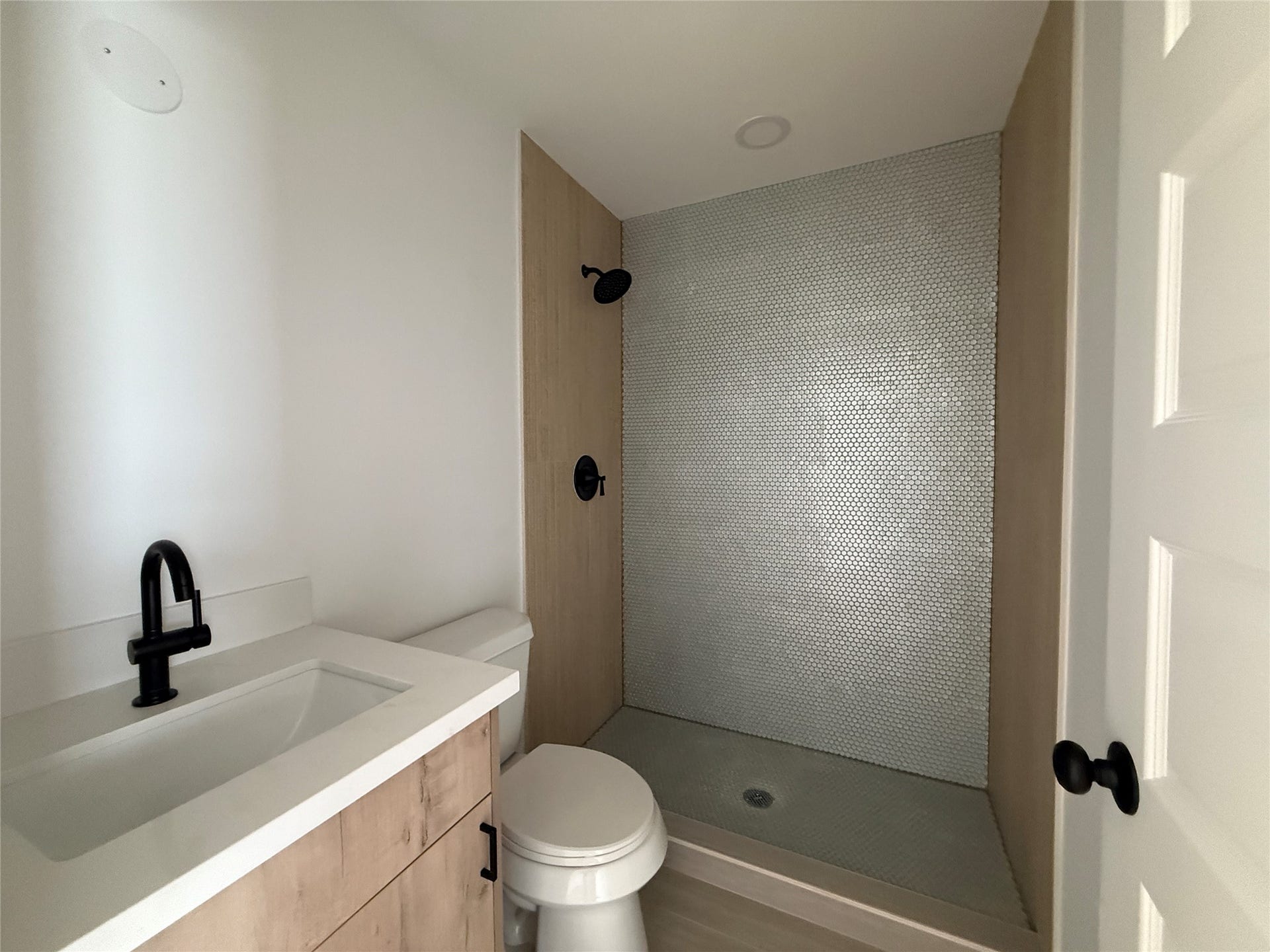 3617 Rosalie Street, #3, Houston, TX 77004 Bathroom