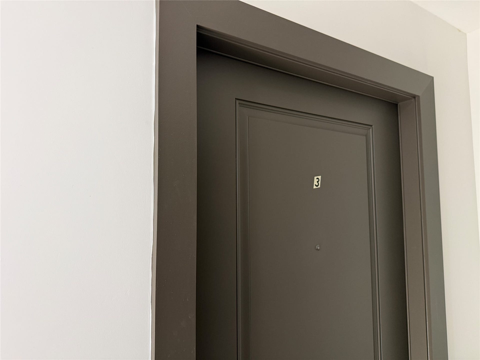 3617 Rosalie Street, #3, Houston, TX 77004 Unit Door