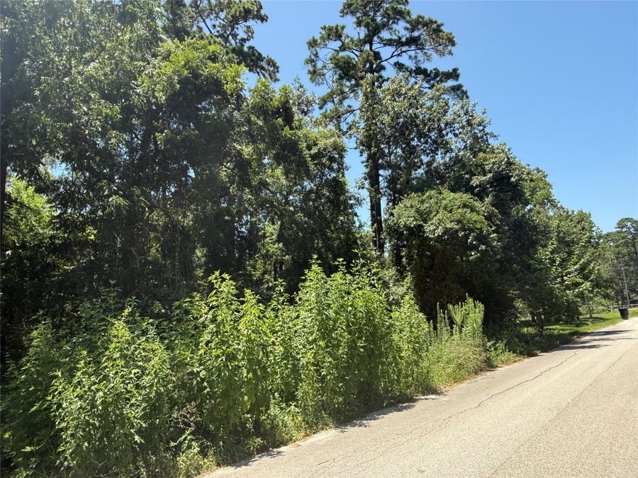 Property photo for 0000000 Big Deer Drive, Houston, TX