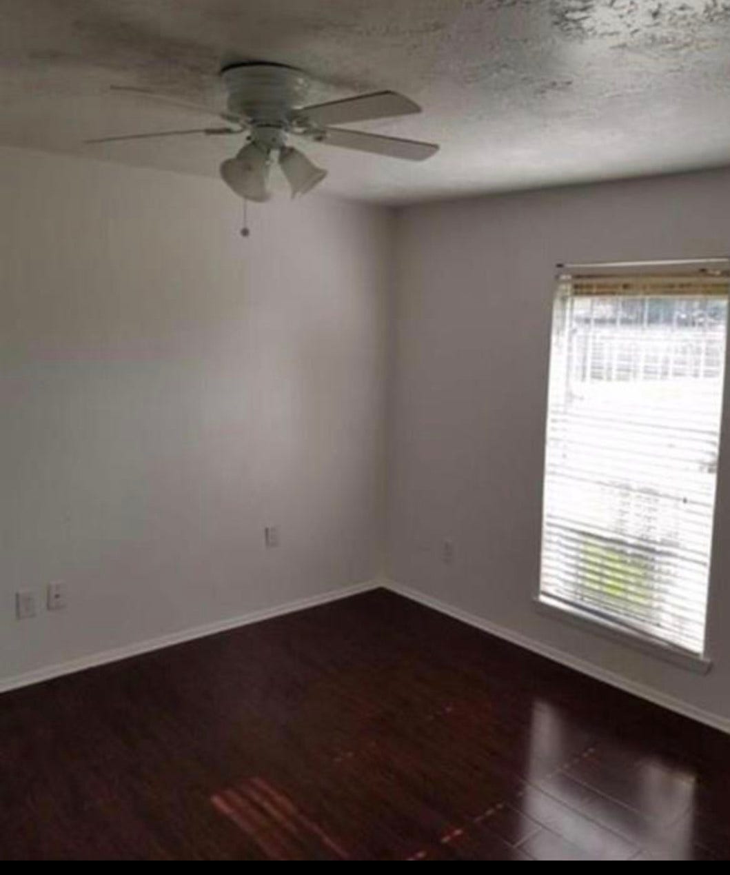 15221 Buckle Lane, #5221, Houston, TX 77060 15221 Buckle Lane, #5221, Houston, TX 77060