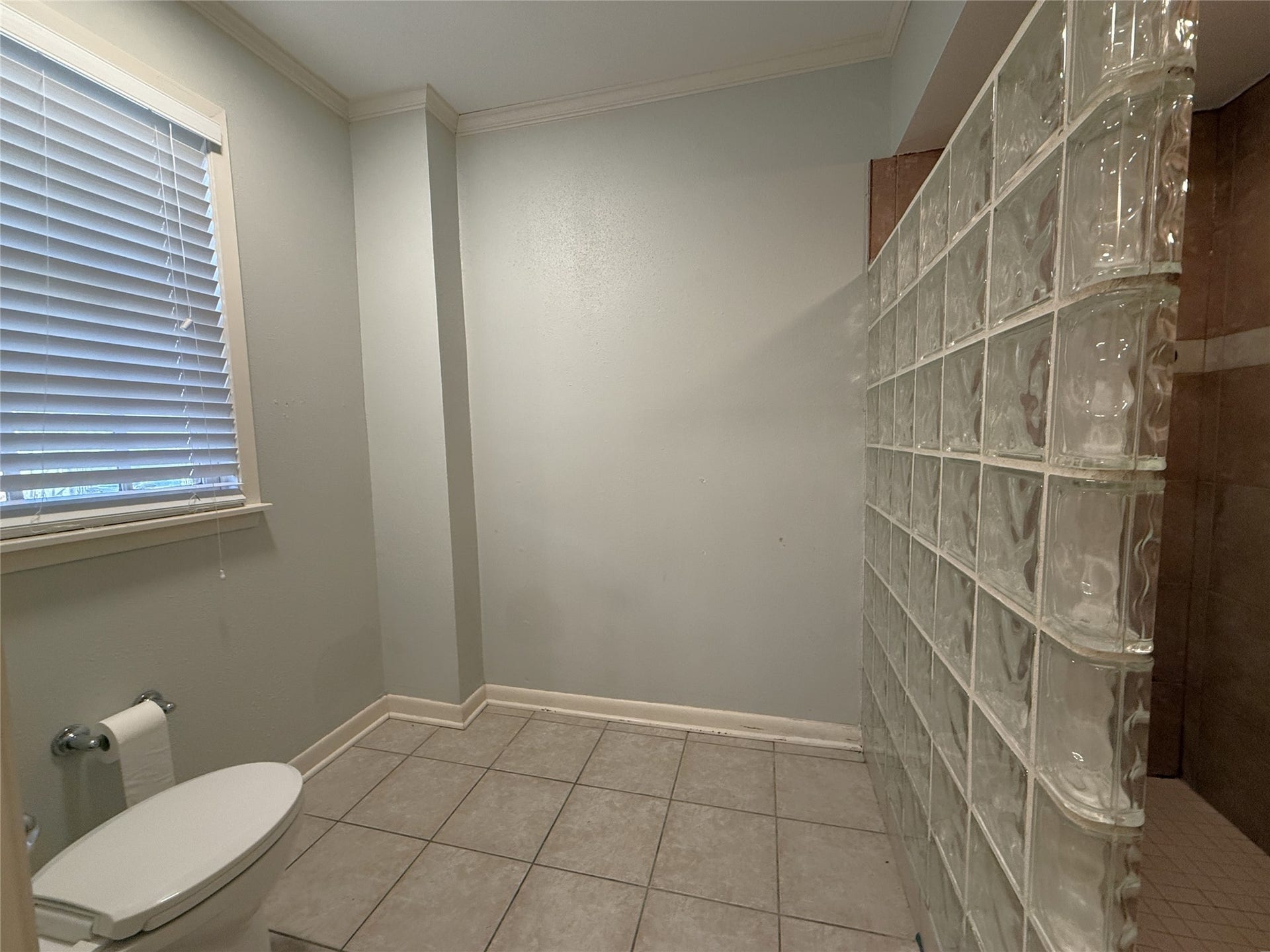 1968 Dryden Road, #1, Houston, TX 77030 The shower primary bathroom shower features vintage block glass.