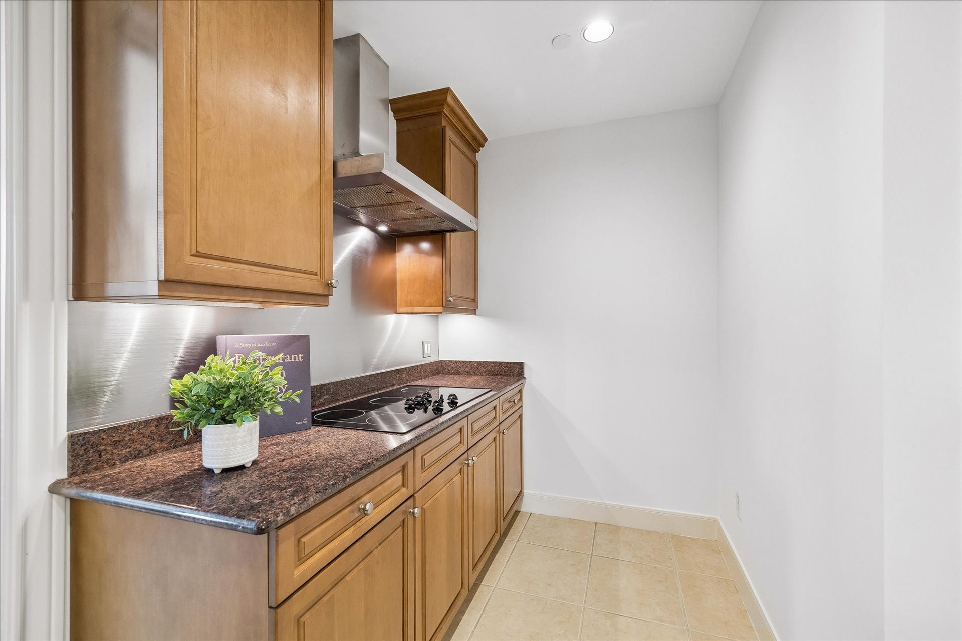Cooktop with stainless vent hood.