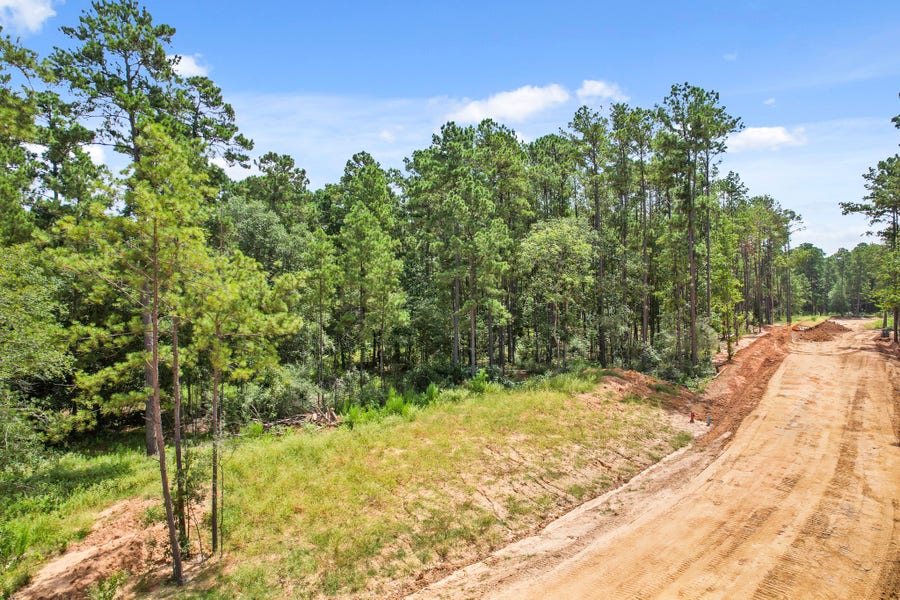 Property photo for 4029 Augusta Drive, Montgomery, TX