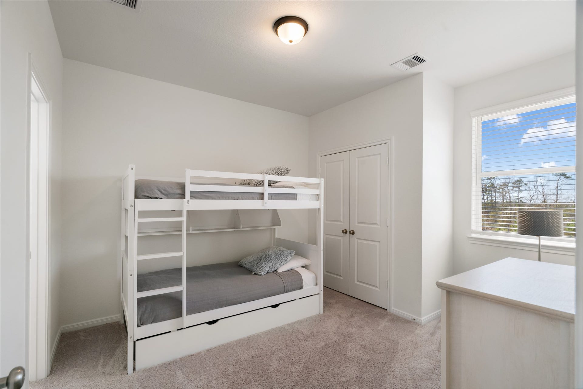 648 Silver Pear Court, Montgomery, TX 77316