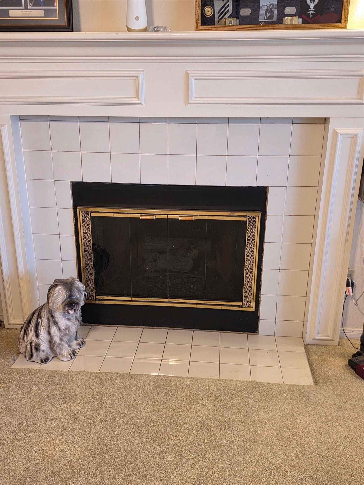 3909 Regency Drive, Deer Park, TX 77536 Gas fireplace
