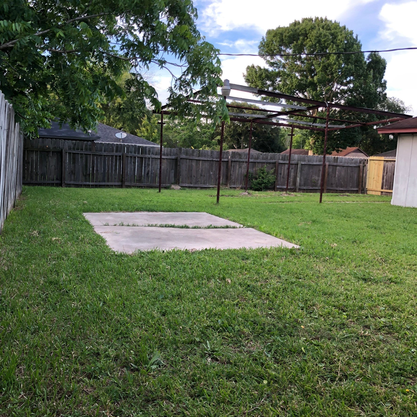 Backyard