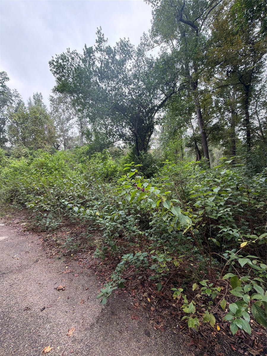 Property photo for 0 COTTONWOOD PLACE, Splendora, TX