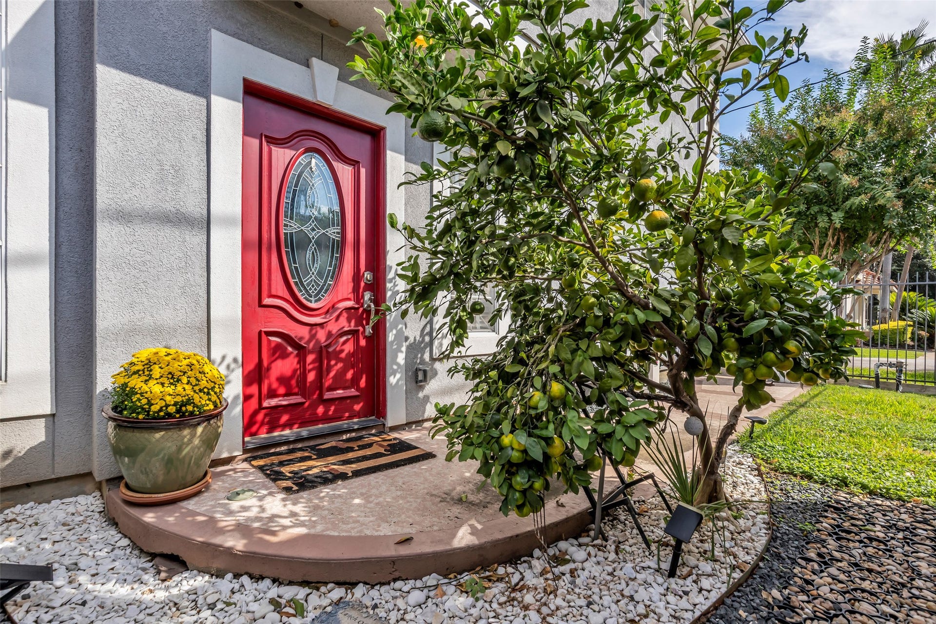 601 Lester Street, Houston, TX 77007 Inviting entrance with a citrus tree.