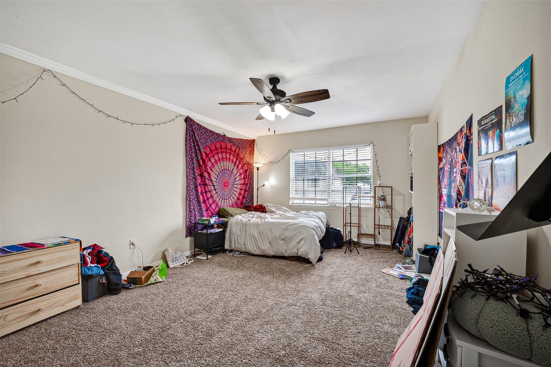 2600 Bellefontaine St Apt D24,, Houston, TX 77025 2600 Bellefontaine St Apt D24,, Houston, TX 77025