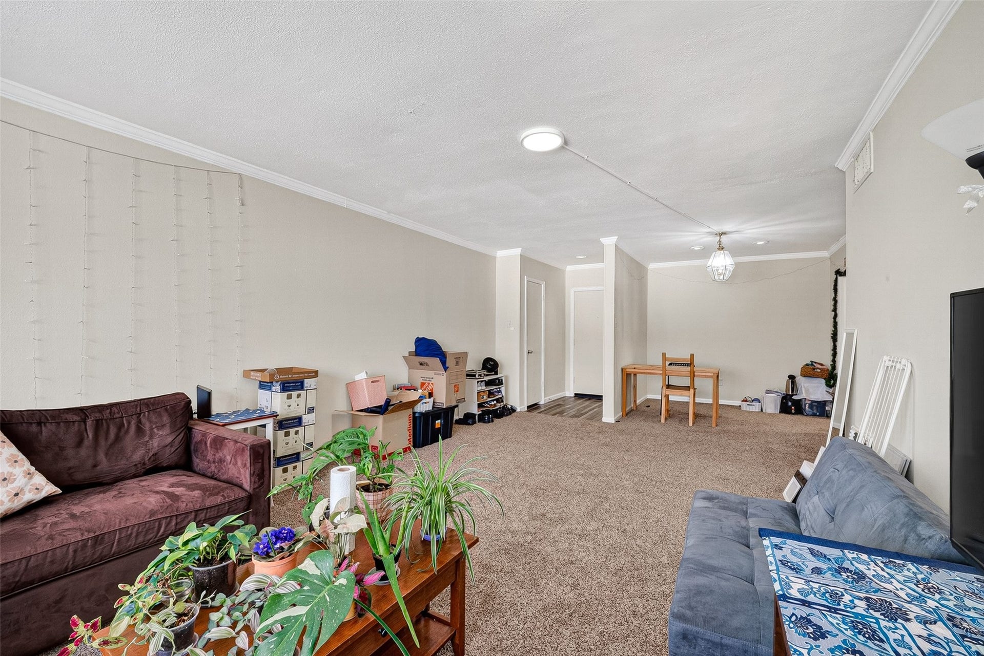 2600 Bellefontaine St Apt D24,, Houston, TX 77025 2600 Bellefontaine St Apt D24,, Houston, TX 77025