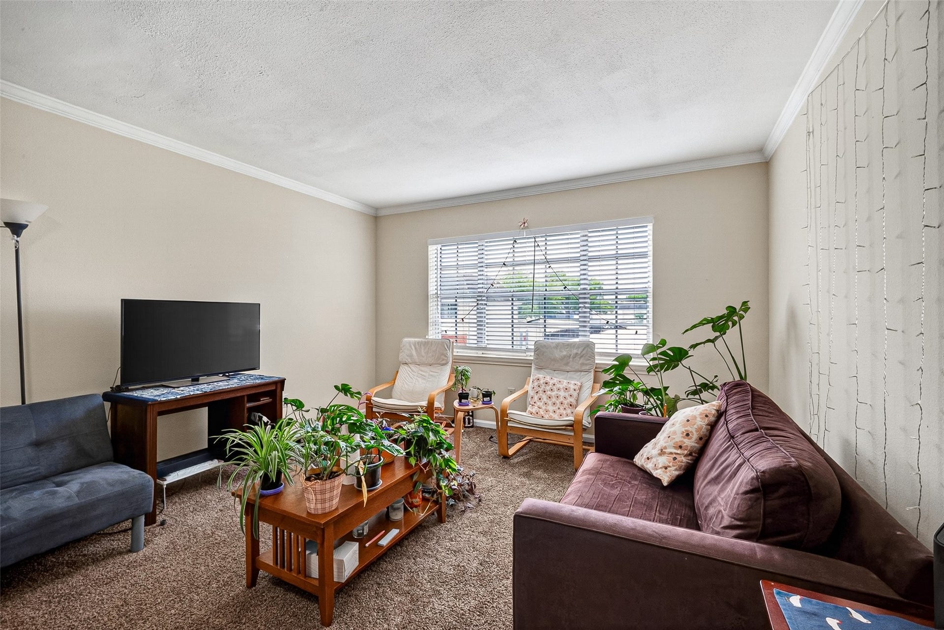 2600 Bellefontaine St Apt D24,, Houston, TX 77025 2600 Bellefontaine St Apt D24,, Houston, TX 77025
