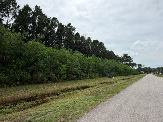 161 County Road 6614, Dayton, TX 77535 161 County Road 6614, Dayton, TX 77535
