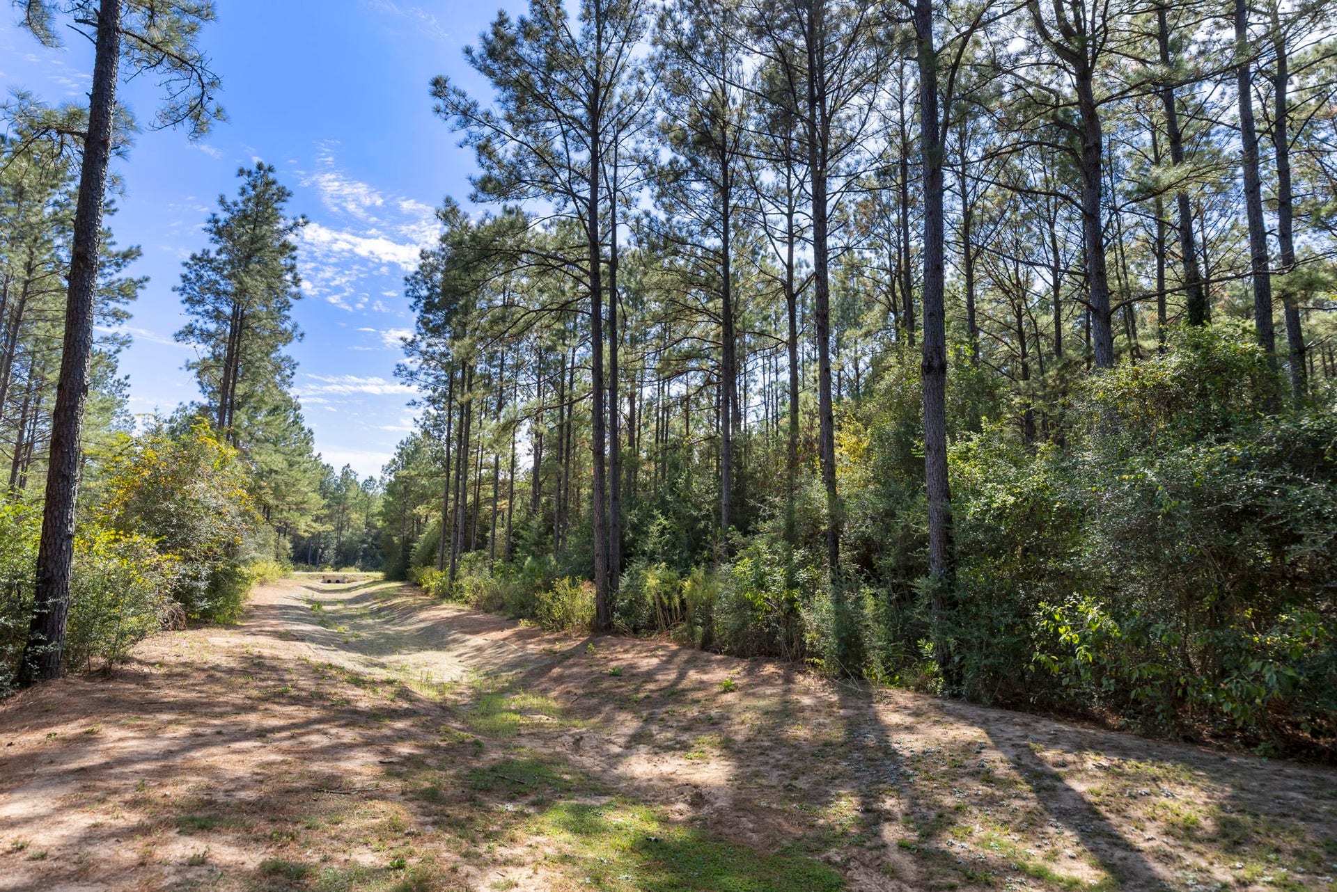 16002 Forest Mill Road, Willis, TX 77378 16002 Forest Mill Road, Willis, TX 77378