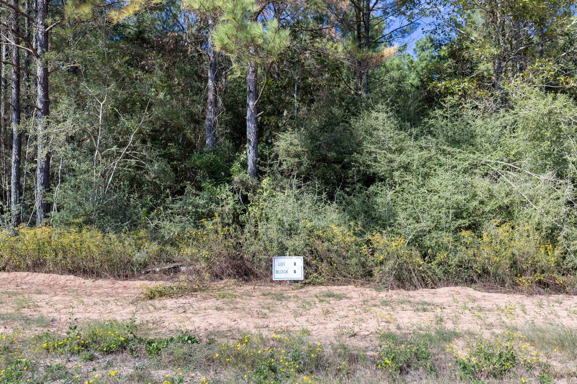 16002 Forest Mill Road, Willis, TX 77378 16002 Forest Mill Road, Willis, TX 77378