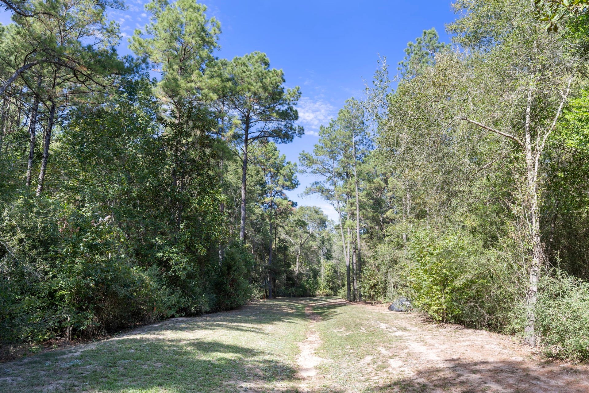 16002 Forest Mill Road, Willis, TX 77378 16002 Forest Mill Road, Willis, TX 77378