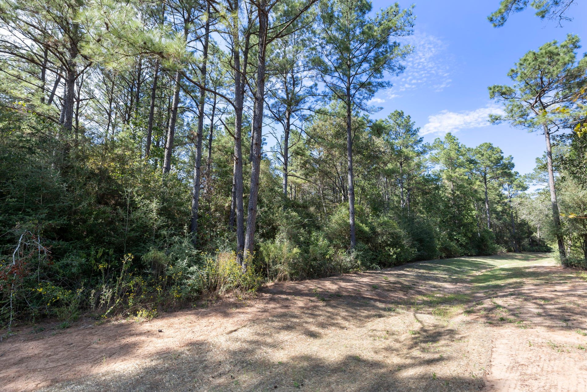 16002 Forest Mill Road, Willis, TX 77378 16002 Forest Mill Road, Willis, TX 77378