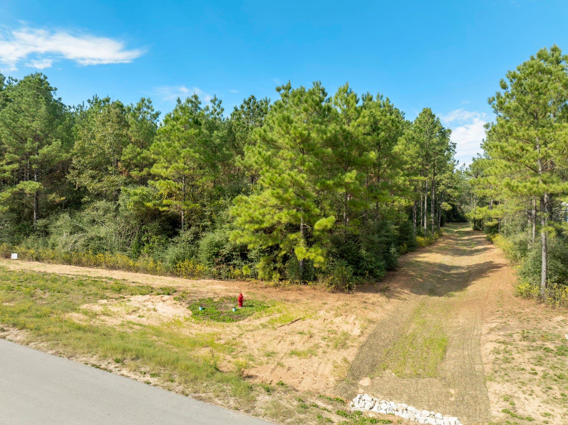 16002 Forest Mill Road, Willis, TX 77378 16002 Forest Mill Road, Willis, TX 77378