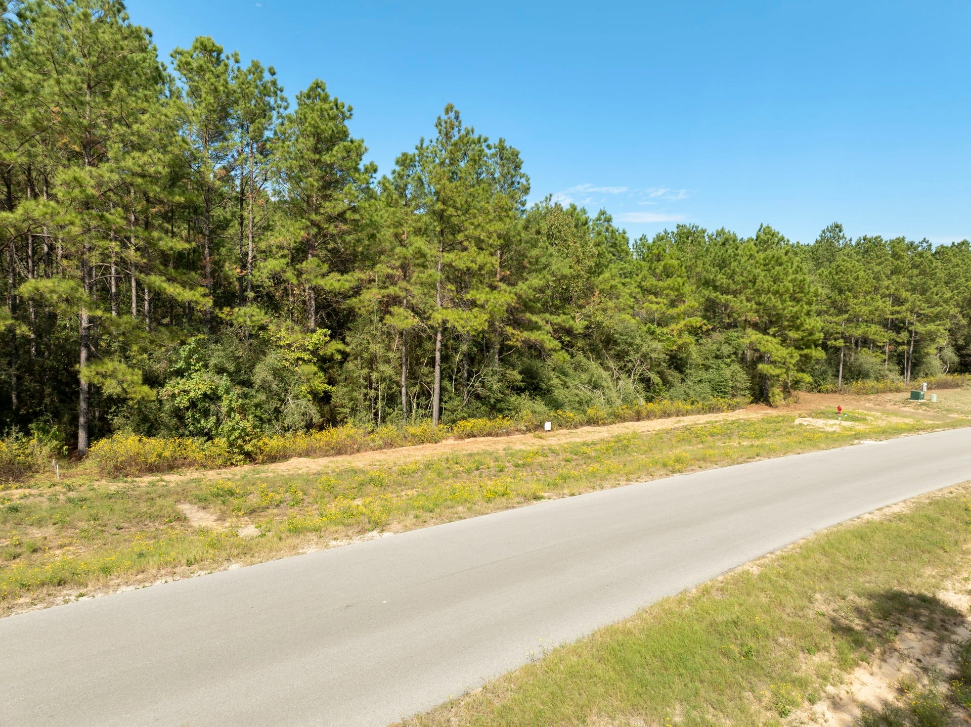 16002 Forest Mill Road, Willis, TX 77378 16002 Forest Mill Road, Willis, TX 77378