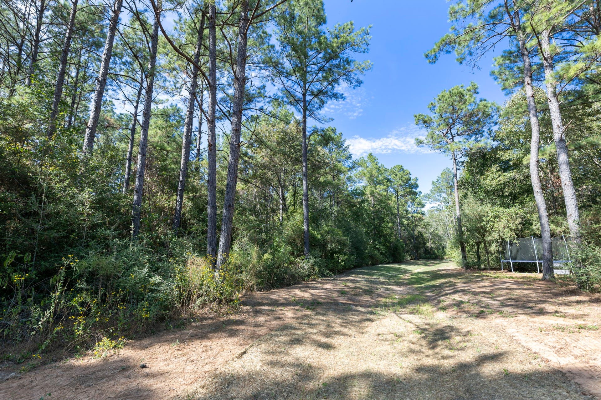 16002 Forest Mill Road, Willis, TX 77378 16002 Forest Mill Road, Willis, TX 77378