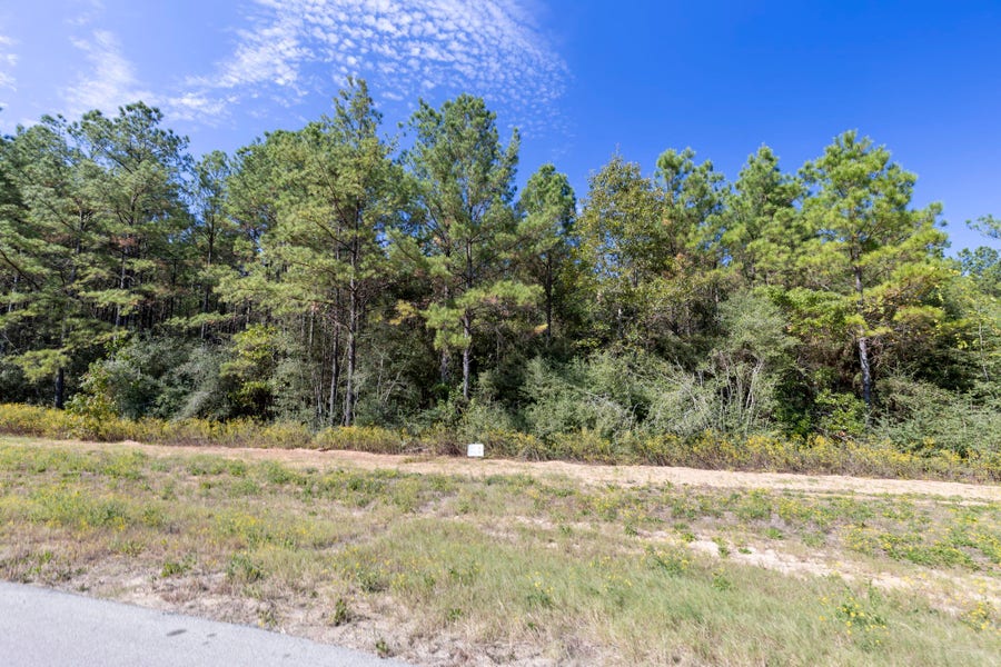 Property photo for 16002 Forest Mill Road, Willis, TX